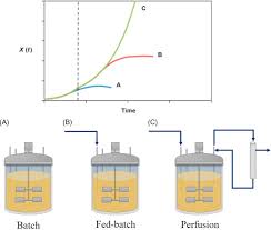 Batch Fermentation An Overview Sciencedirect Topics