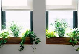 Maybe you would like to learn more about one of these? The Sill Terrain Planting A Window Box Indoor Window Planter Window Ledge Decor Indoor Window Boxes
