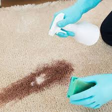 Différents liquides, la poussière et les odeurs (d'animaux de compagnie, de cuisson, de fumé utiliser un nettoyant pour moquette. 6 Astuces Pour Detacher Desinfecter Et Raviver Les Moquettes Et Tapis Mamie Co