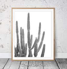 Wall pictures sat with black and white silhouettes of. Desert Cactus Print Black And White Succulent Print Etsy Cactus Photography Cactus Wall Art Cactus Art