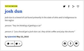 Urban Dictionary Definition Of Josh Dun They Actually Drink A Lot Of Red Bull One Pilots Twenty One Pilots Twenty One Piolets