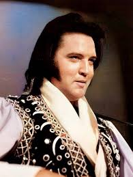 Cat recovers from minor infection