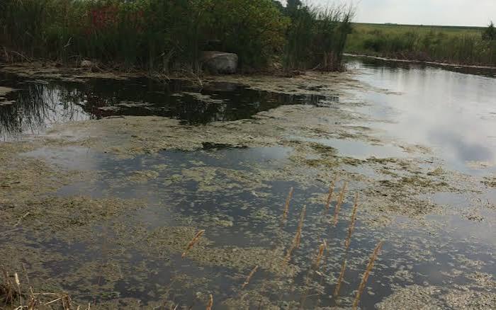 Clean Water Pro sludge assessment — pond bottom muck and sediment accumulation