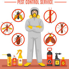 With our extensive branch network in hyderabad, a rentokil pci pest control expert is always near you. The 10 Best Bed Bug Exterminators In Hyderabad Last Updated March 2021 Starofservice