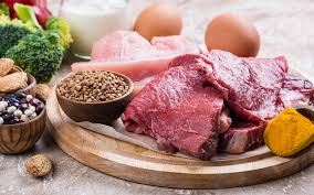 Image result for Protein
