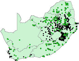 Image result for Scleria welwitschii