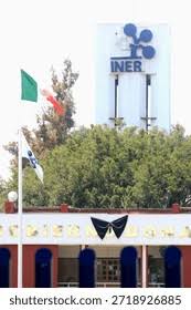 Image result for Droguetia iners