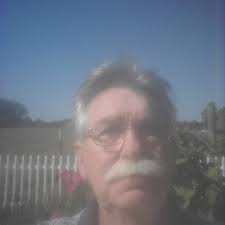 Looking for 6-8 month old pullets in Pelzer