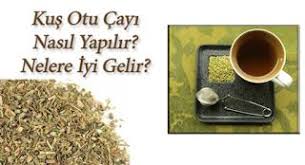 Baharat Yolu Kus Otu Cayi Ile Zayiflamak Insanlik Tarihinin Cok Baharat Yolu Otlar Baharat