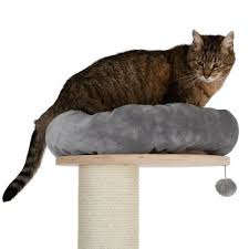 Cats paradise spa and boarding retreat is the premier boarding facility for pampered kitties in the ottawa region! Natural Paradise Cat Tree Xl Premium 175cm Bitiba Co Uk