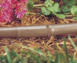 Check spelling or type a new query. Installation Arrosage Goutte A Goutte Guide Arrosage Et Pompage