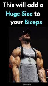 Exercise For Biceps This Will Add Huge Size To Your Bicep And Will Give A Defined Shape To Your Bice Best Bicep Workout Bicep And Tricep Workout Biceps Workout