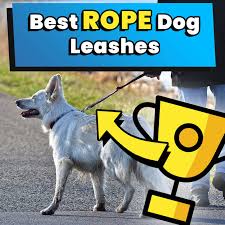 We did not find results for: Does Lowes Allow Dogs Is Lowes Pet Policy Dog Friendly 2021 Dog Leash Pro