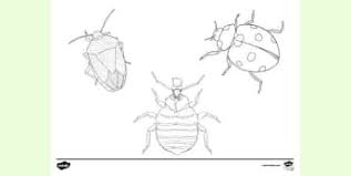 You can use our amazing online tool to color and edit the following solar system planets coloring pages. Free Planet Earth Colouring Page Colouring Sheets