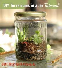 Diy Terrariums In A Jar Tutorial Don T Mess With Mama Terrarium Diy Terrarium Jar Terrarium