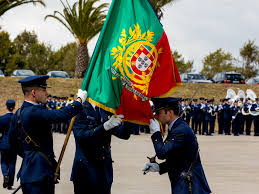 Sustantivo de género exclusivamente masculino, que lleva los artículos el o un en singular. Forca Aerea Portuguesa