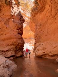26 Best Utah Hikes for Kids