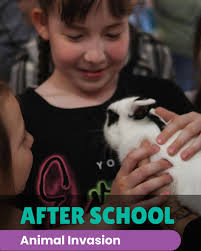 🌟 Connecting a Caring Community: Women in Action 🌟 Today, The Help Group  celebrated the final Women in Action event of the year — a joyful  dreamcatcher-making experience with students from our