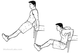 Image result for tricep dips on box