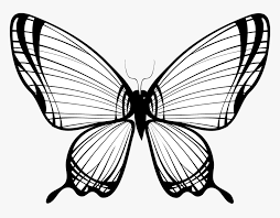 Edit and share any of these stunning monarch butterfly clipart. Clip Art Butterfly With Broken Wing Butterfly Wings Line Drawing Hd Png Download Kindpng