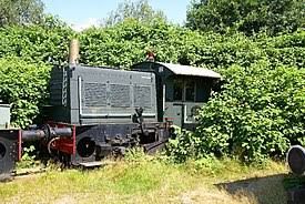 You can remove this bothersome and invasive plant if you know what works. Reynoutria Japonica Wikipedia