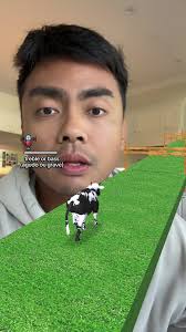 Understanding Cow Sounds: Why Do Cows Moo?