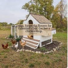 😭😭 *not my photo...