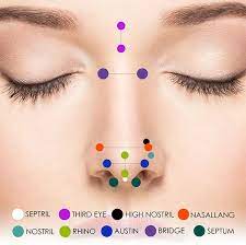 Nose Piercing Types Nose Jewelry Guide 14k Gold Real Black Etsy In 2021 Piercing Chart Nose Piercing Face Piercings