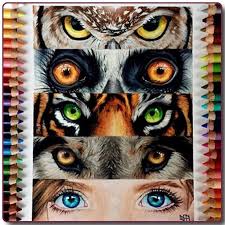 Draw an oval between these two lines to make the iris. App Insights How To Draw Animal Eyes Apptopia