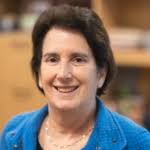 Blogs, News & Articles