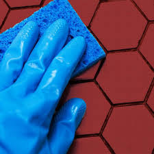 Here are some tips on how to get rid of fleas and stay rid of. How To Get Rid Of Fleas In Your House And More Thestreet