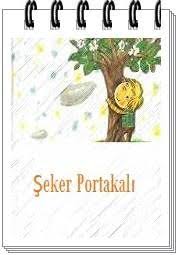 seker portakali kitap ozeti konusu ana fikri zaman ve mekan incelemesi seker portakali serisi kitap ozetleri ve aradiginiz tum ya kitap yazarlar sarkilar