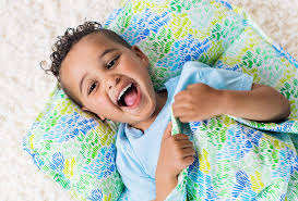Organic Nap Mat Nap Set With Mat Pillow Blanket Lovevery