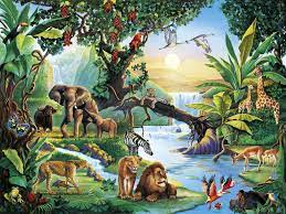 Jungle Life Hd Desktop Wallpaper Jungle Wallpaper Animal Wallpaper Jungle Life
