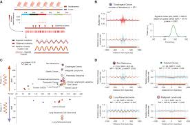 The simulation then allows you to edit the dna which will then create a new protein. Somatic And Germline Mutation Periodicity Follow The Orientation Of The Dna Minor Groove Around Nucleosomes Sciencedirect