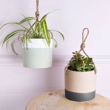 Pair with naturally scented reed diffusers to enjoy a tropical oasis from the comfort of your own home. How To Create A Beautiful Indoor Garden This Winter
