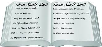 Crazy Co Op Condo Or Hoa Rules Going Overboard The South Florida Cooperator The Condo Hoa Co Op Monthly