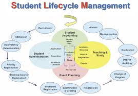 Pin On Student Life Cycle