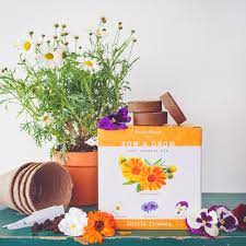 Maybe you would like to learn more about one of these? Edible Flower Kit 4 Types Of Culinary Flowers To Grow From Seed Nature S Blossom