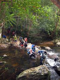 Penggerudian minyak dan pasir jalur pasir perlombongan yang terletak di luar sempadan taman menyebabkan kerosakan kepada persekitaran dengan mengubah landskap dengan ketara. Gunung Tahan Wikiwand