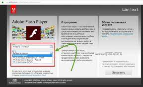 There are a lot of websites out there and each wants to get your attention somehow. Adobe Flash Player For Windows Xp Cleverwoman
