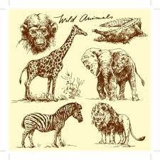 We did not find results for: Hand Drawing Wild Animals Free Vector Download 101 391 Free Vector For Commercial Use Format Ai Eps Cdr Svg Vector Illustration Graphic Art Design