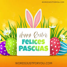 La pascua ―también llamada pascua de resurrección, pascua florida, domingo de pascua, domingo de resurrección o domingo de gloria― es la fiesta central del cristianismo, en la que se conmemora, de acuerdo con los evangelios canónicos. Qjnv7cas5b1vxm