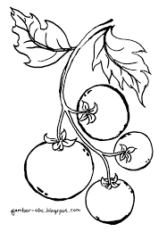 Maybe you would like to learn more about one of these? Buah Tomat Contoh Gambar Mewarnai