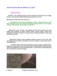 Proses kejadian manusia menurut al quran. Proses Kejadian Manusia