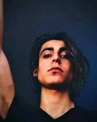 Fans de Aidan Gallagher додає...