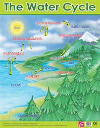 The Water Cycle Learning Chart School Poster