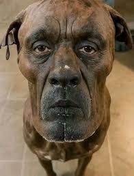 Let's welcome our new members! Lindeka Makapela, Joseph Theuri, Faith  Narasha, Christoph Higoam, Medrine Akoyi, Collins , Stephen Mwiti, Dor Ina,  Aphline Atieno, Zhu Tao, Symo Kariuki, Otada Junior, Nancy Gathoni Gathungu,