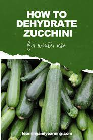 Jul 28, 2021 · zucchini also makes great comfort food. Dehydrating Zucchini For Winter Use