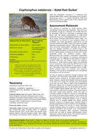 Pdf A Conservation Assessment Of Cephalophus Natalensis The Red List Of Mammals Of South Africa Swaziland And Lesotho